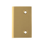 DT Glendale Watertight Hinge Cover Plate - Image 13